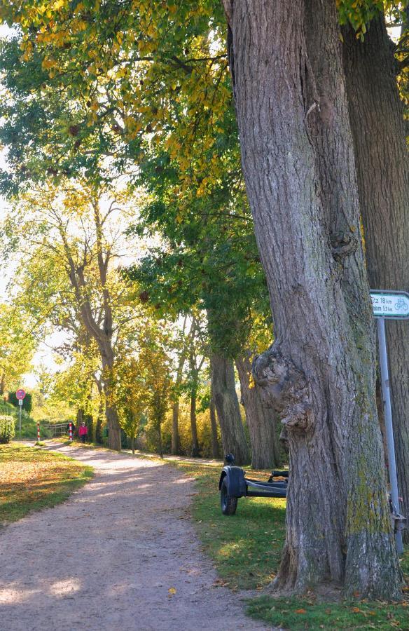 Am Hafensteig 19 Lejlighed Neustadt in Holstein Eksteriør billede